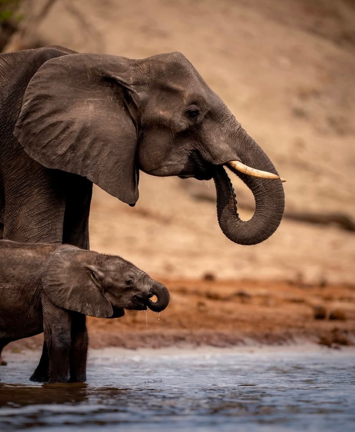 Serengeti National Park