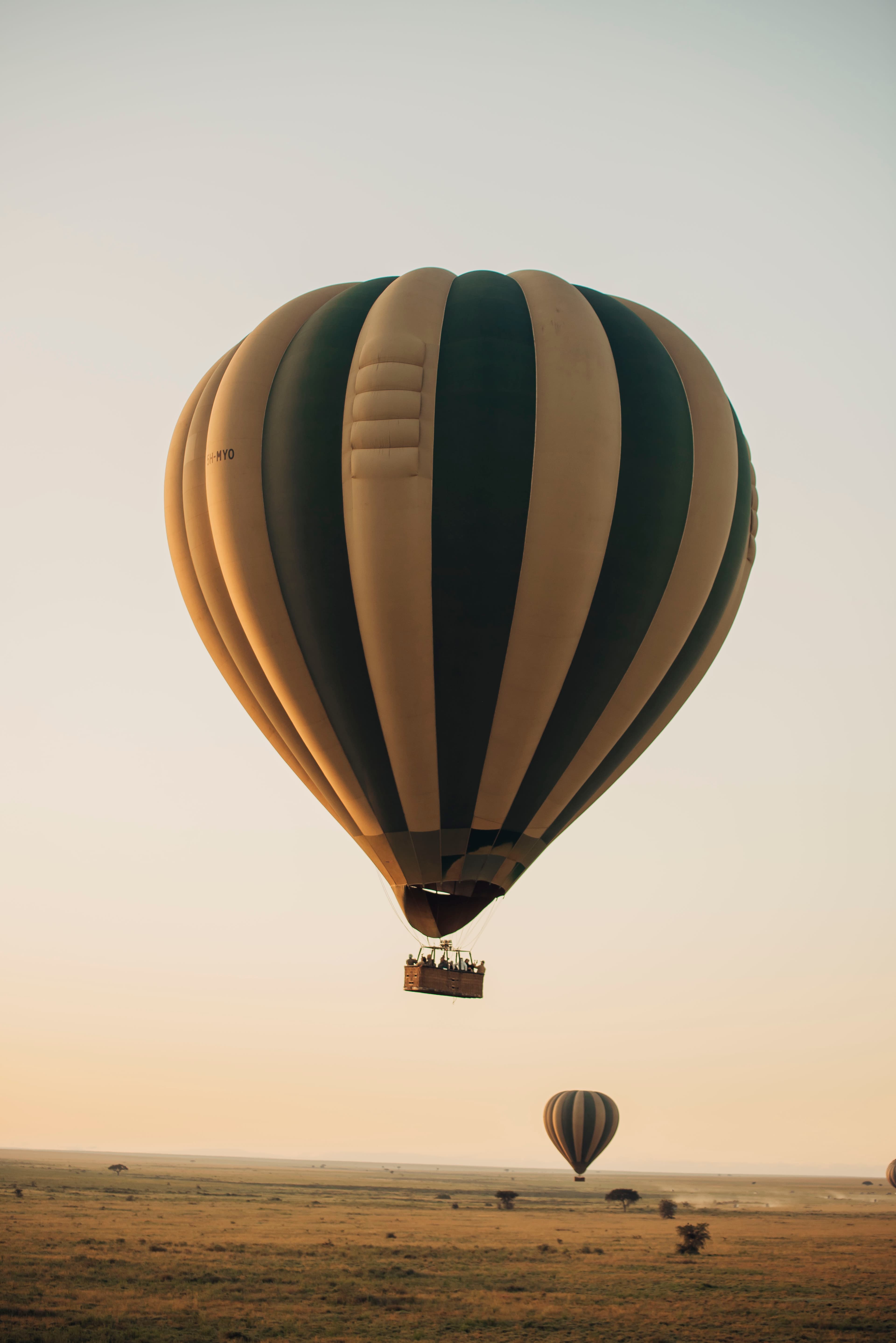 Hot Air Balloon Safari